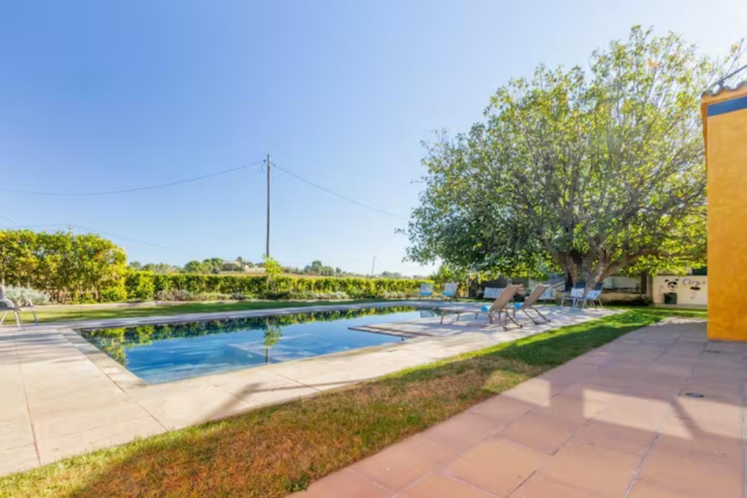 Masia Cal Sisplau, Con Piscina Y Rodeada De Vinedos A 10 Minutos De Vilafranca Del Penedes, Barcelona ,Cataluna San Martín Sarroca Dış mekan fotoğraf